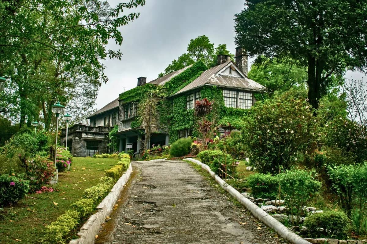 Amazing Spiritual Buddhist Monastery Kalimpong | 3 Nights 4 Days Lava Forest Tour