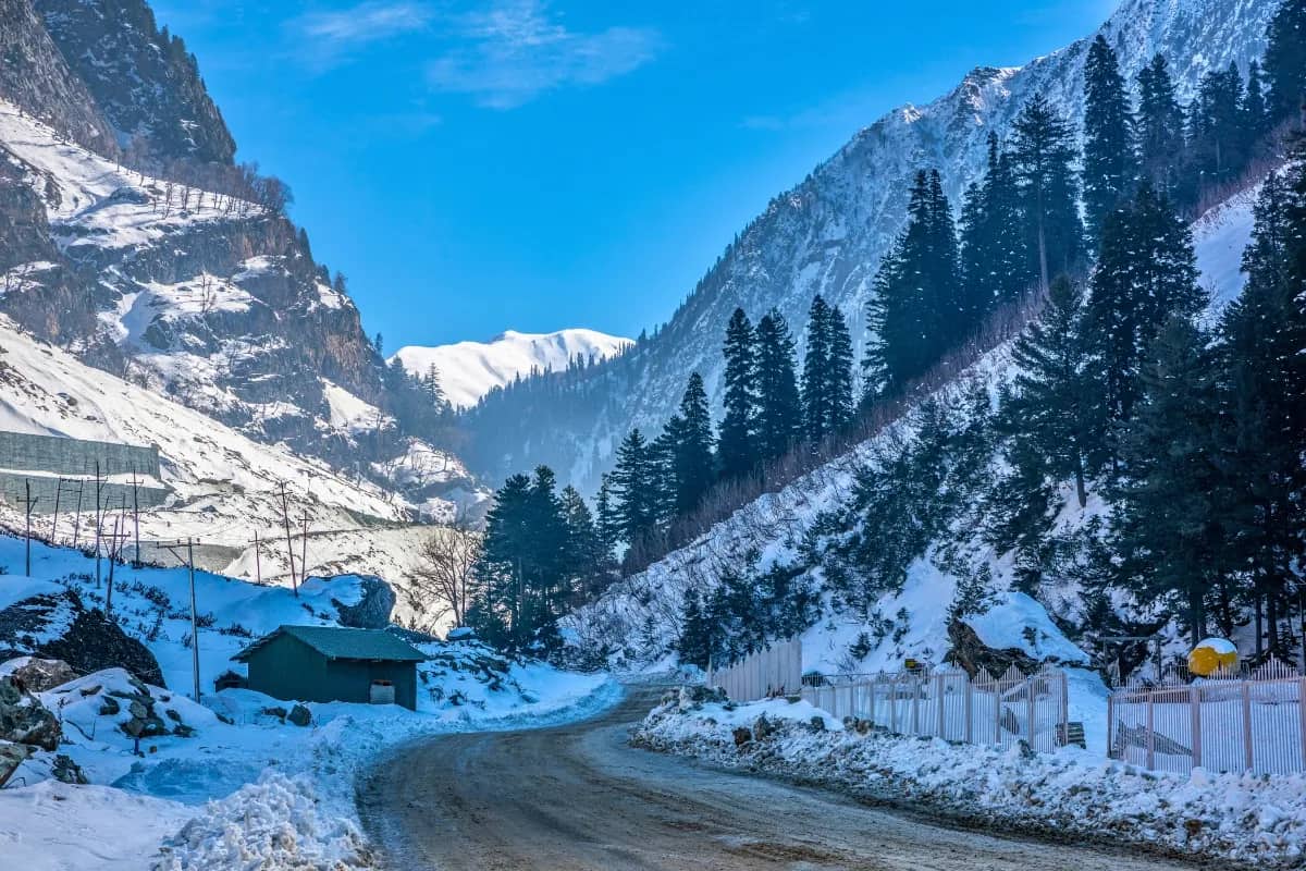 Stunning Kashmir Tour | 6 Nights 7 Days Premium Valley Circuit