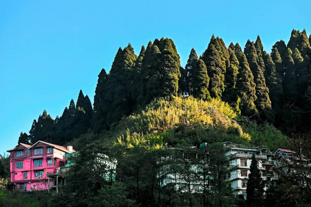 Spectacular Serene Hidden Villages North Bengal | 3 Nights 4 Days Majhidhura Discovery