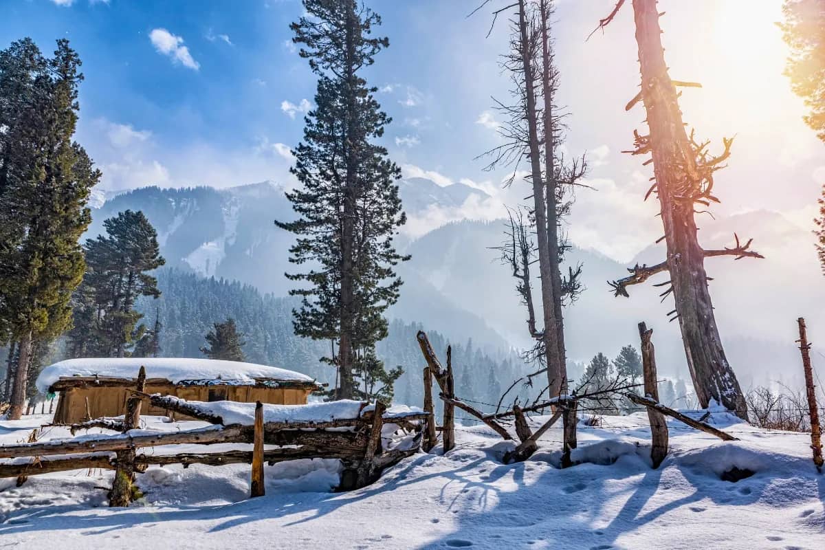 Thrilling Kashmir Tour Package | 7 Nights 8 Days Offbeat Gurez Adventure