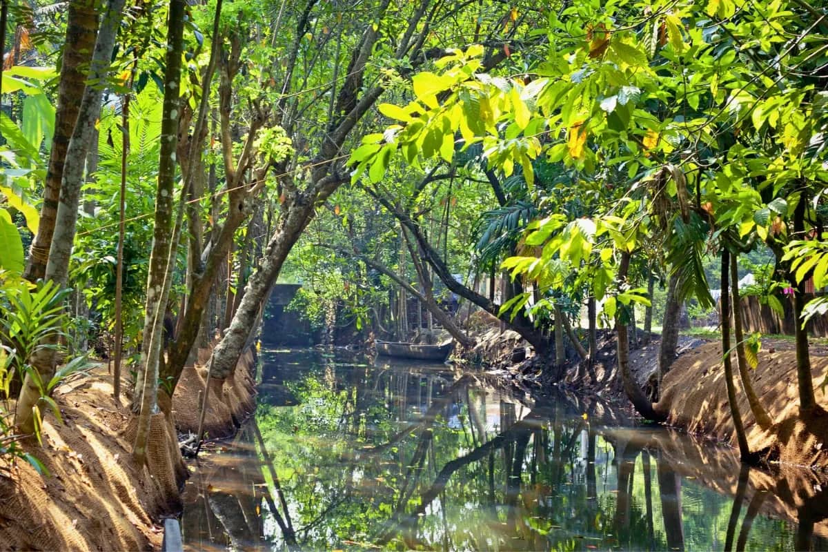 Complete Beautiful Homestay North Bengal | 3 Nights 4 Days Sillery Gaon Experience