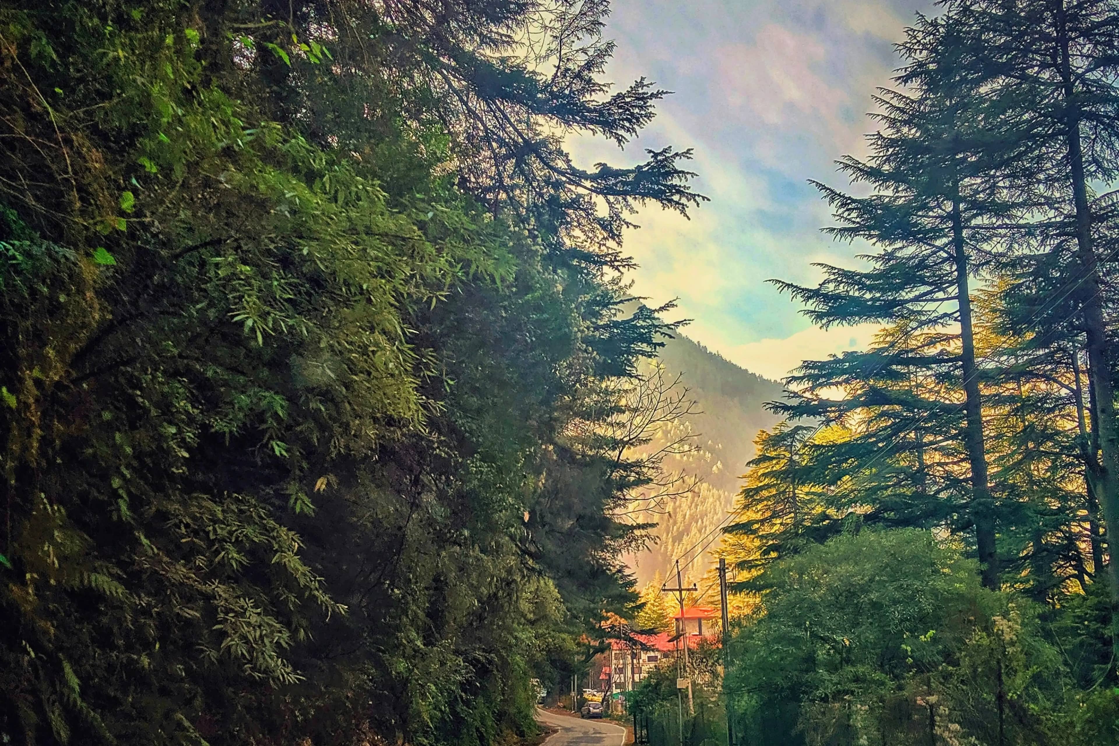 Manali Solo Trip Package