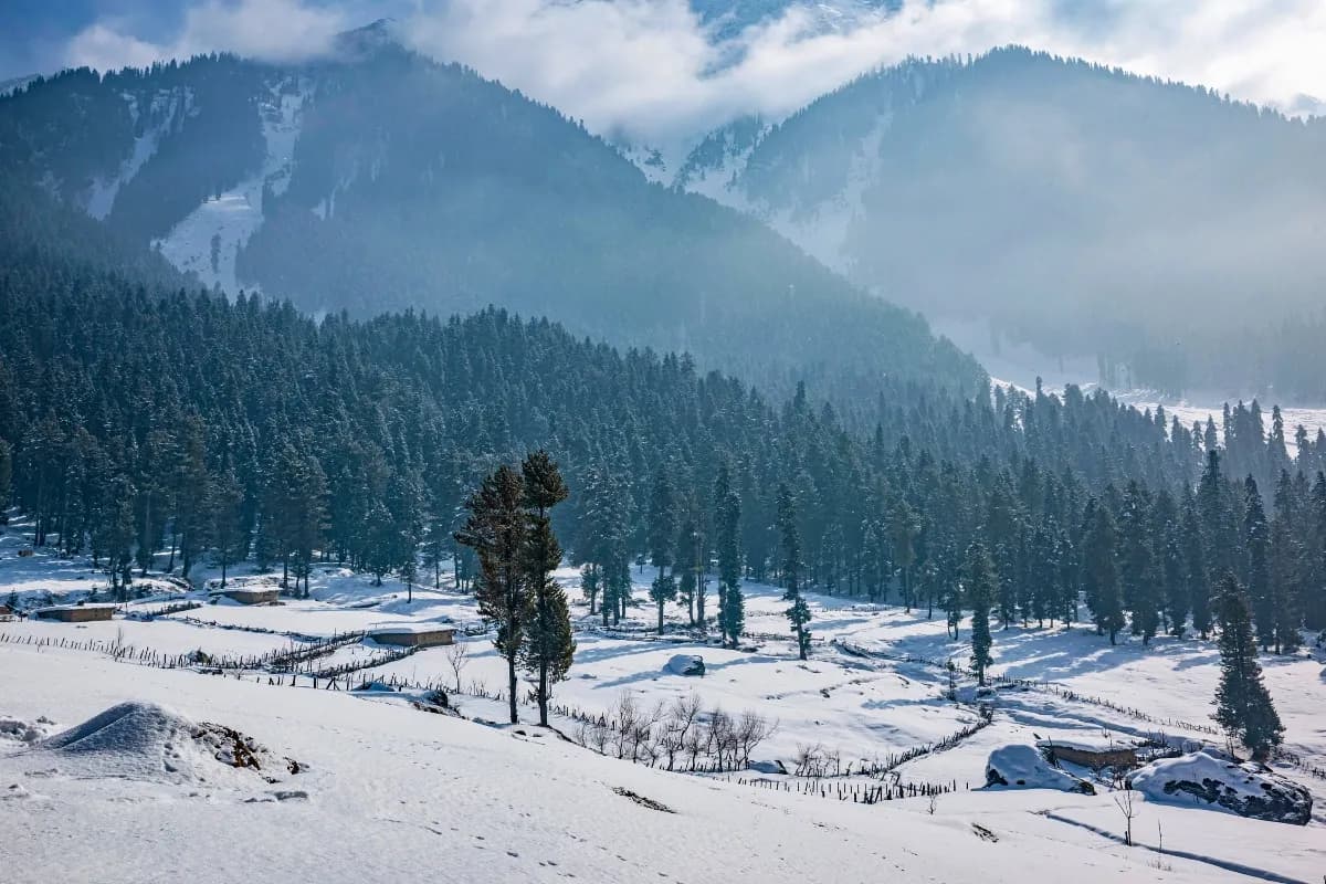 Kashmir Tour Package - Amazing 5 Days Paradise Journey | 4 Nights 5 Days
