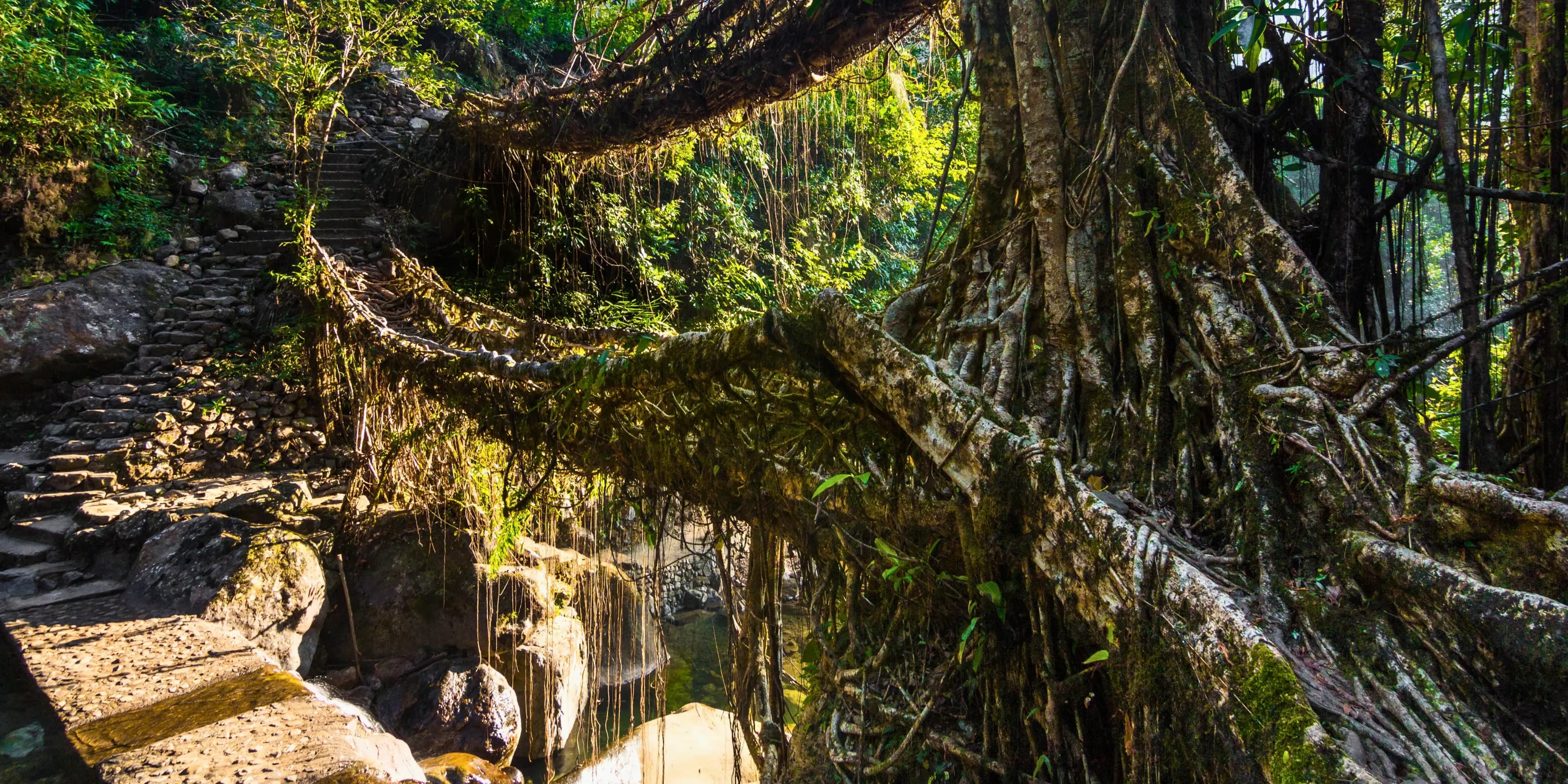 Meghalaya