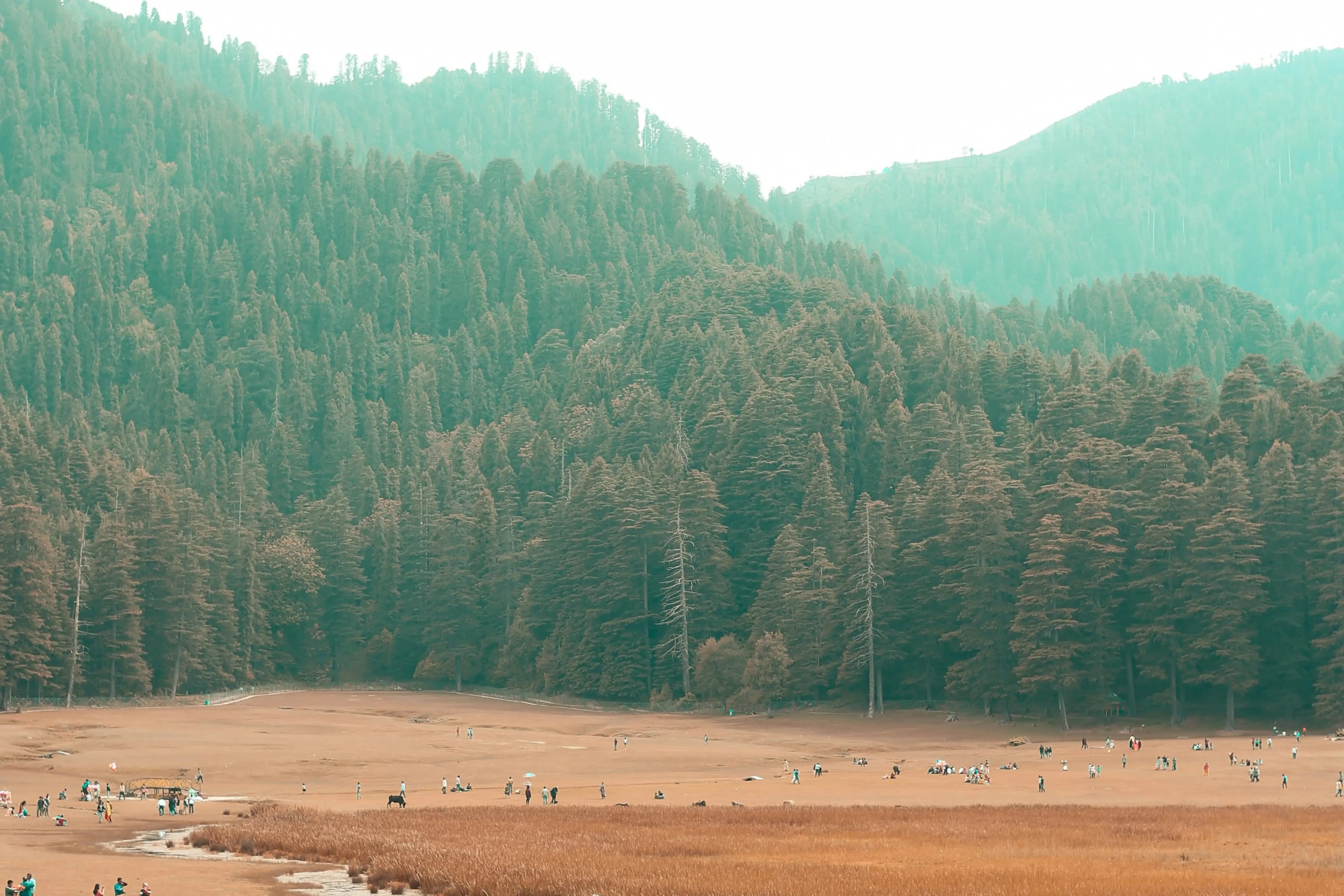 Dharamsala McLeodganj Tour Package from Chennai
